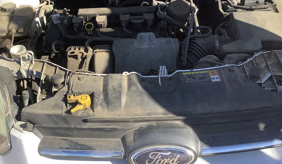 $920 paid for 2014 Ford Focus