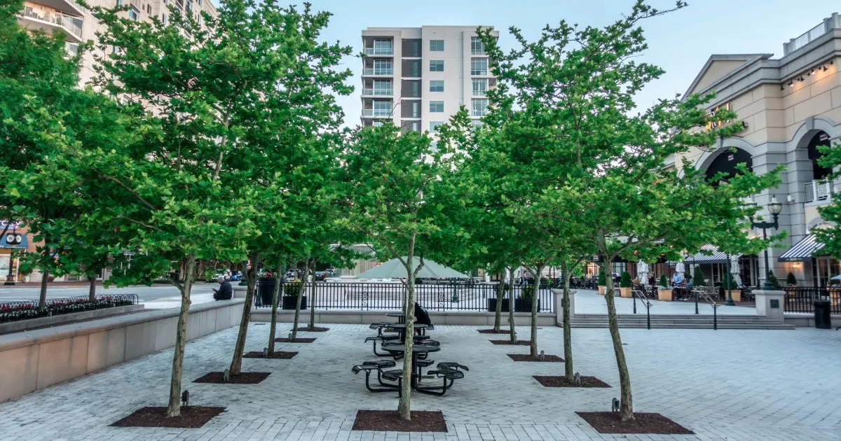 Norfolk business plaza with picnic tables