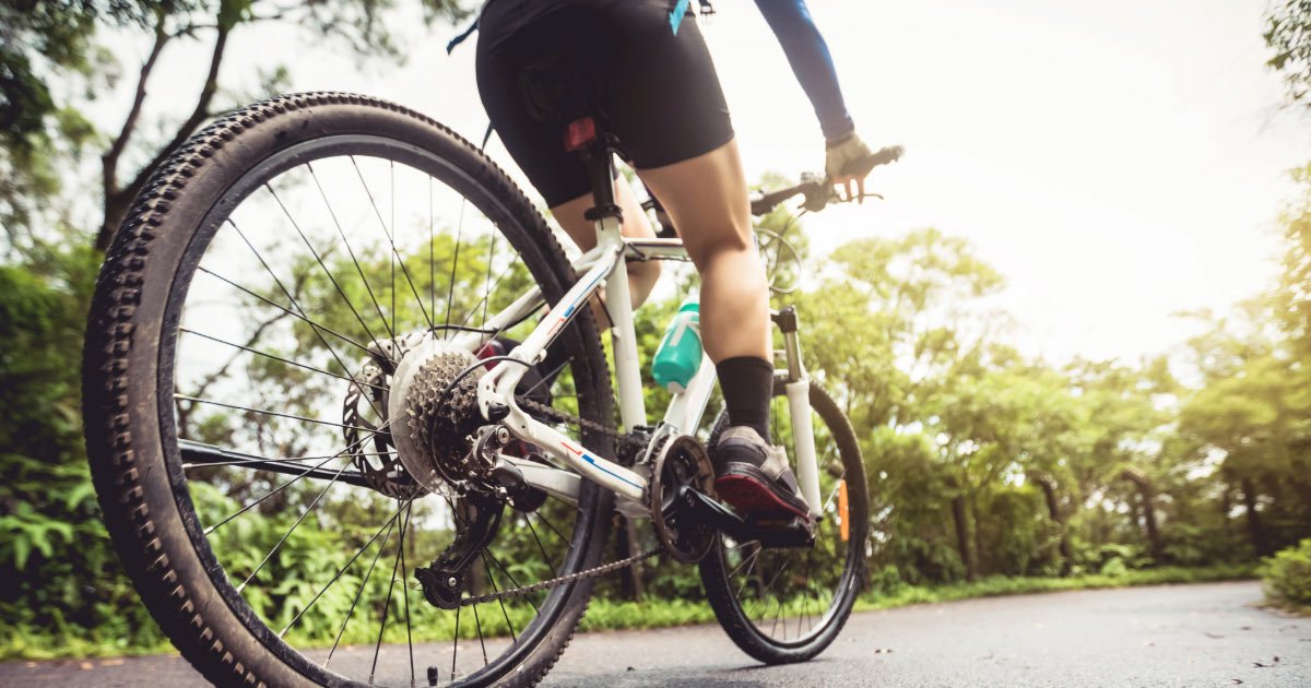 Cyclist riding mountain bike along park trail