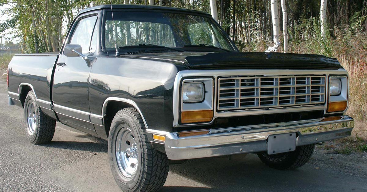 Ram D Series